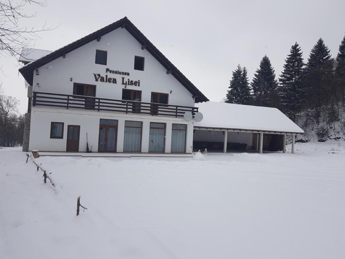 Pensiunea Valea Lisei Lisa Esterno foto
