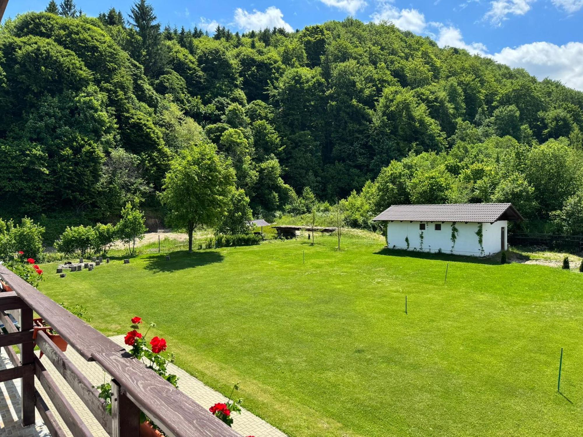 Pensiunea Valea Lisei Lisa Esterno foto
